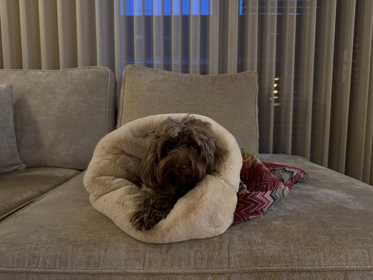 Cozy Wrap Bordeaux