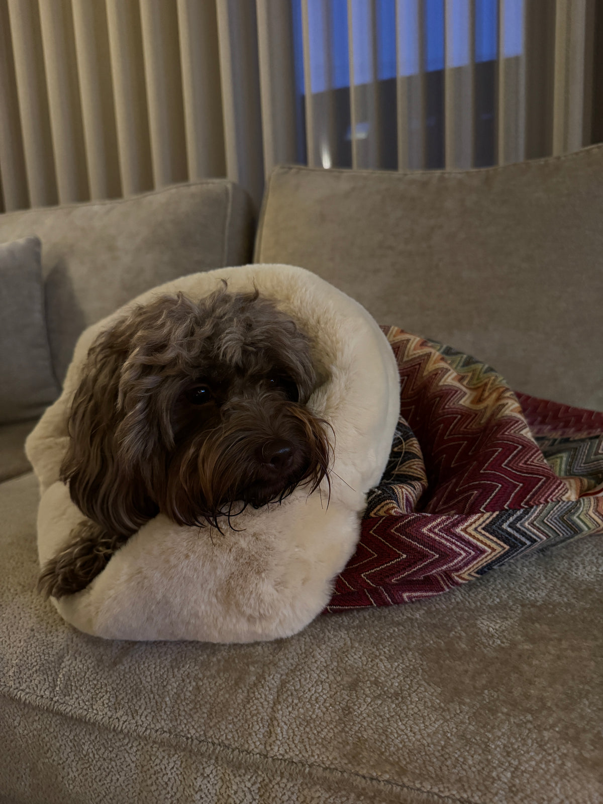 Cozy Wrap Bordeaux