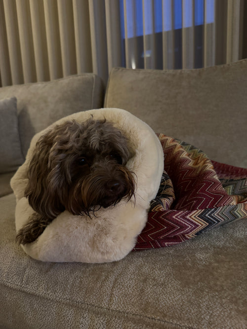 Cozy Wrap Bordeaux