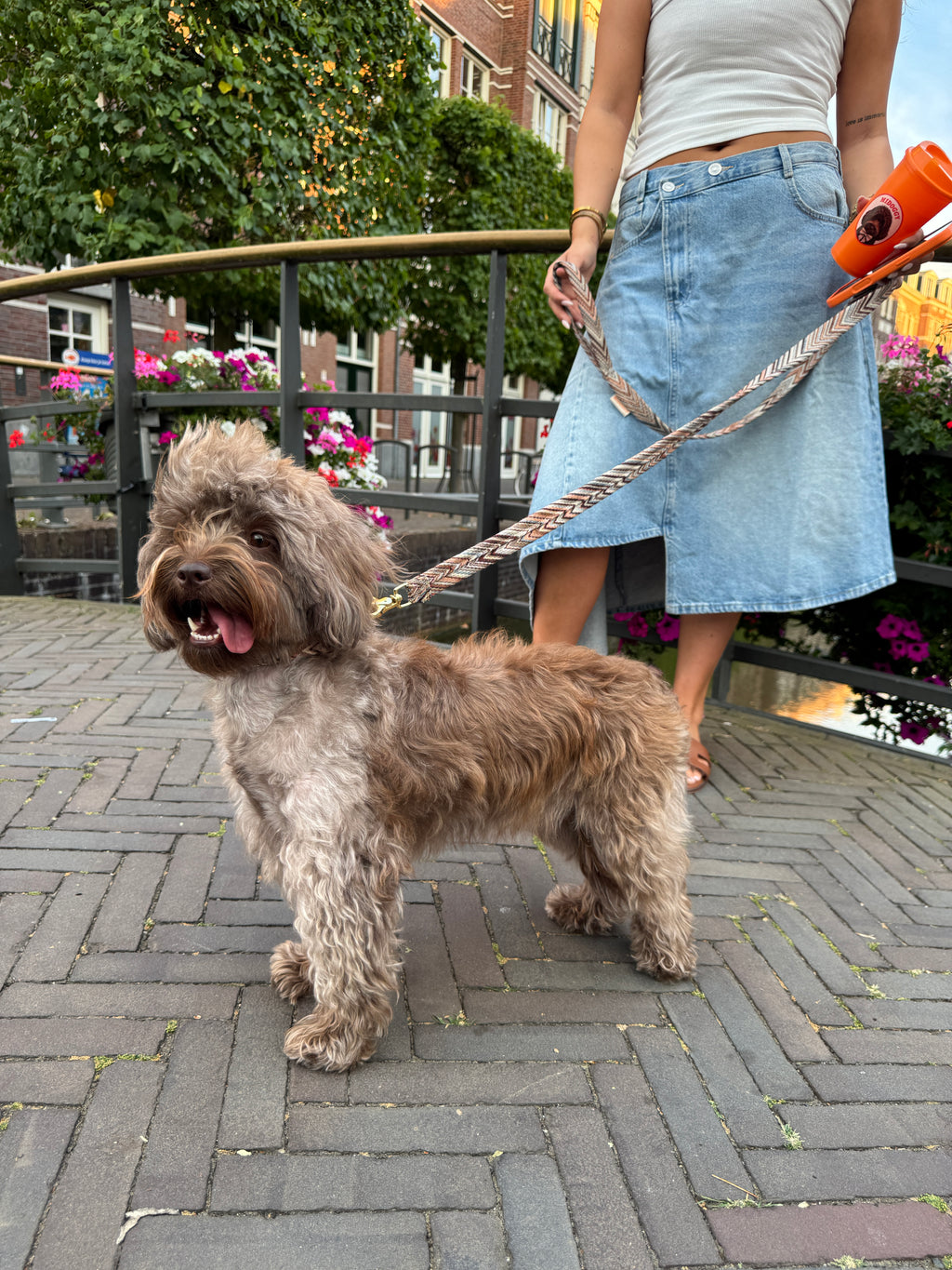 Hondenriem Clay