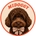 Midoggy - Home